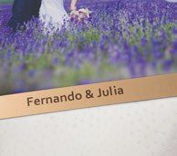 Fénix Sabana Blanco detalle chapa