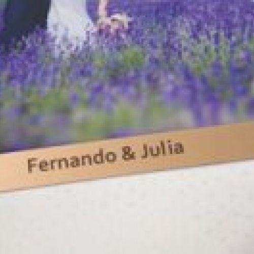 Fénix Sabana Blanco detalle chapa