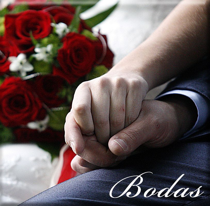 Bodas