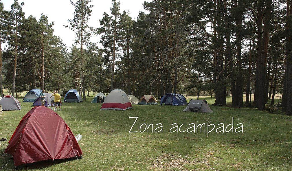 Curso fotografía