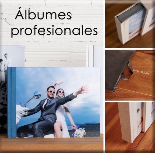 Álbumes profesionales